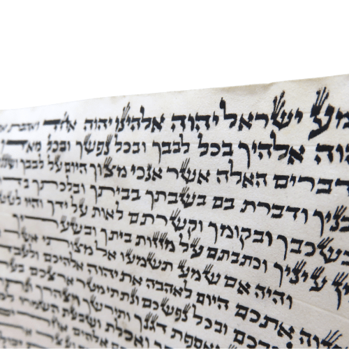 קלף מזוזה מהודר גודל 15