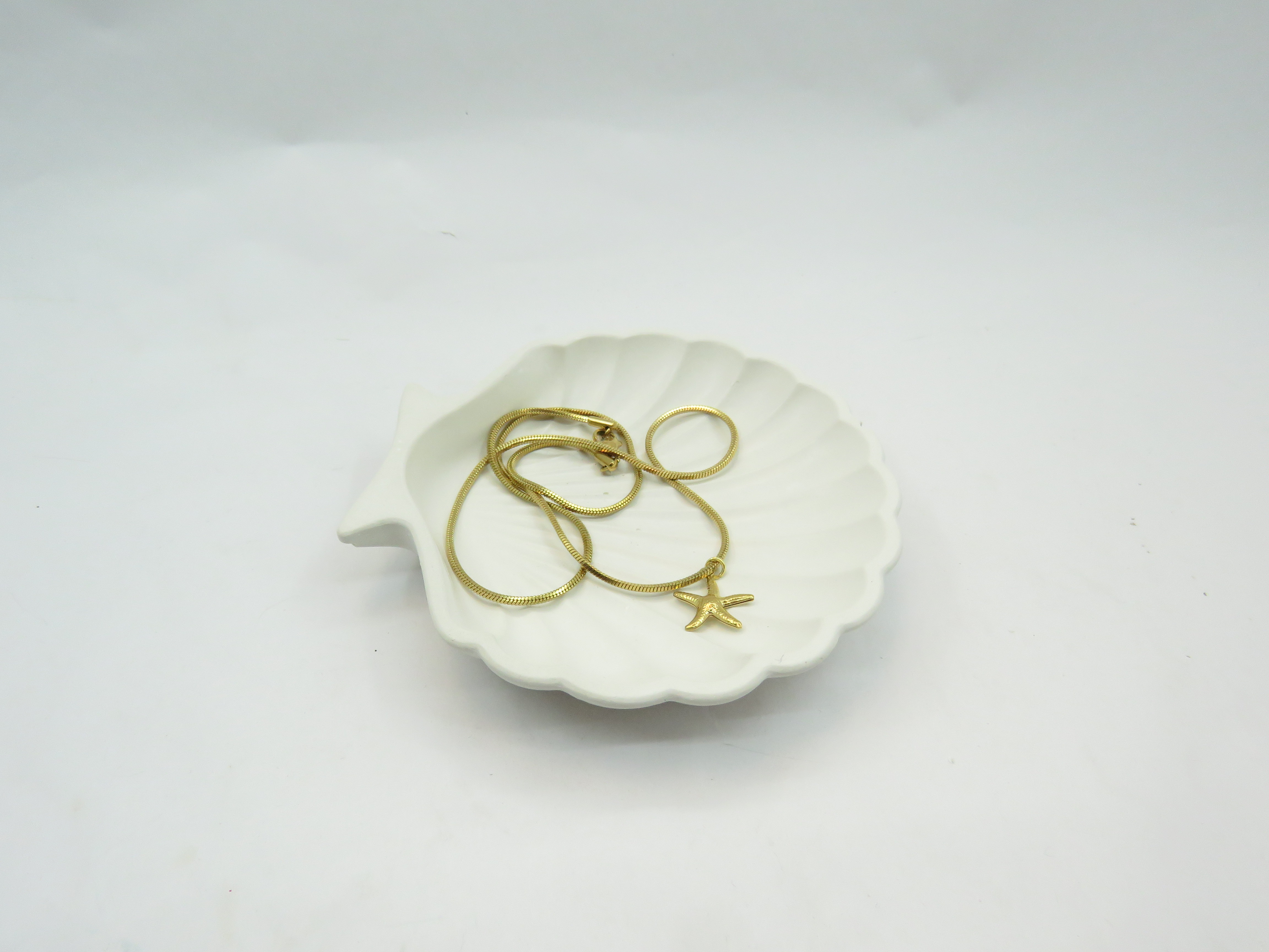 מארז צדפה ושרשרת