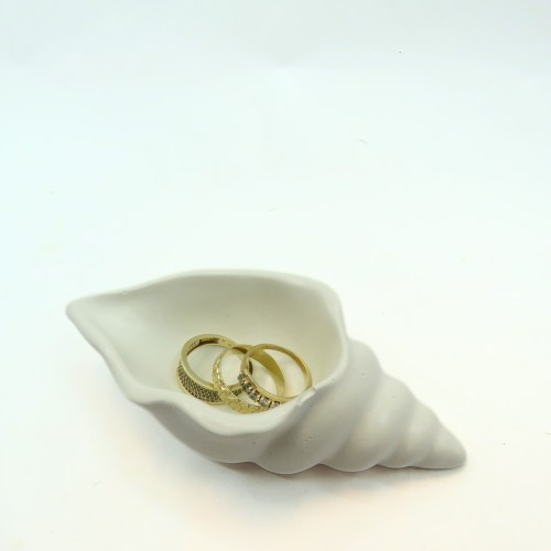 קונכייה קטנה לאחסון תכשיטים